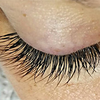 Lash Extensions - Michelle Denslow